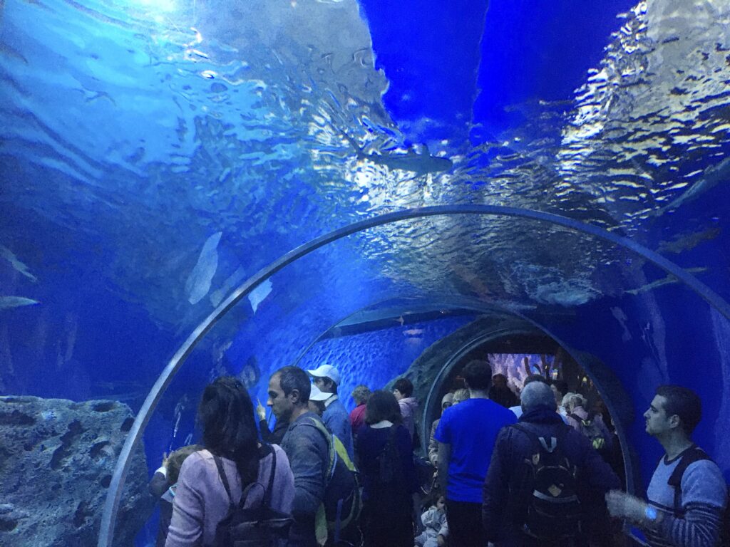  tor visning av Blue Planet med fiskar i det stora akvariet som inrymde miljontals liter vatten.